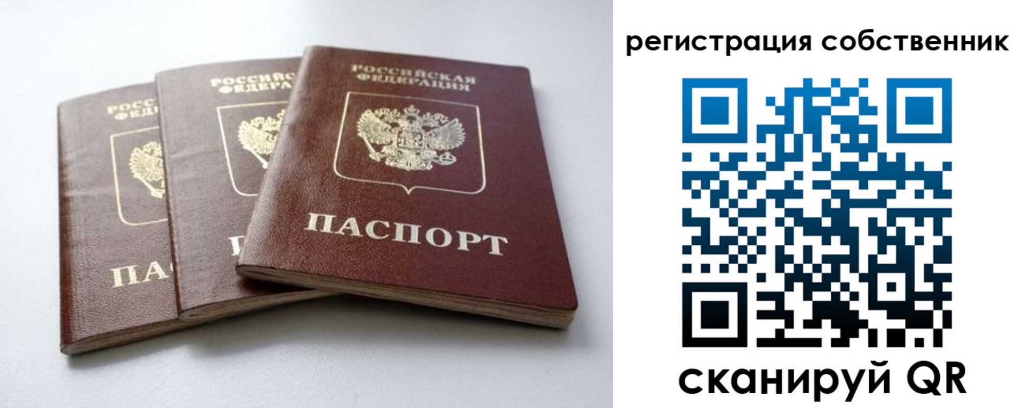 прописка для школы в Болотном